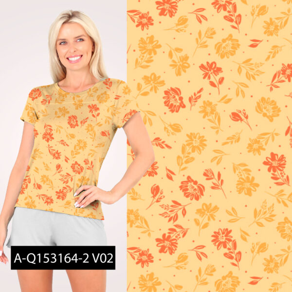 A-Q153164-2 - Imagem 2