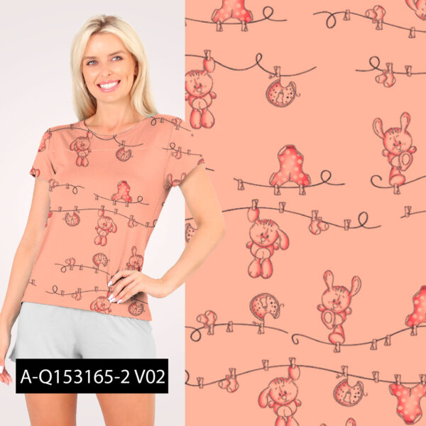 A-Q153165-2-V01 - Imagem 2