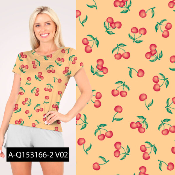A-Q153166-2-V01 - Imagem 2