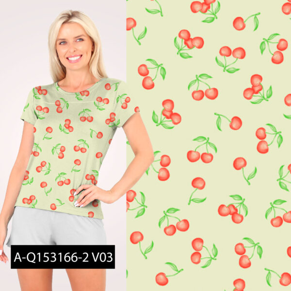 A-Q153166-2-V01 - Imagem 4
