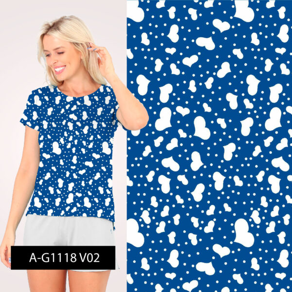 A-G1118-V01 - Imagem 2