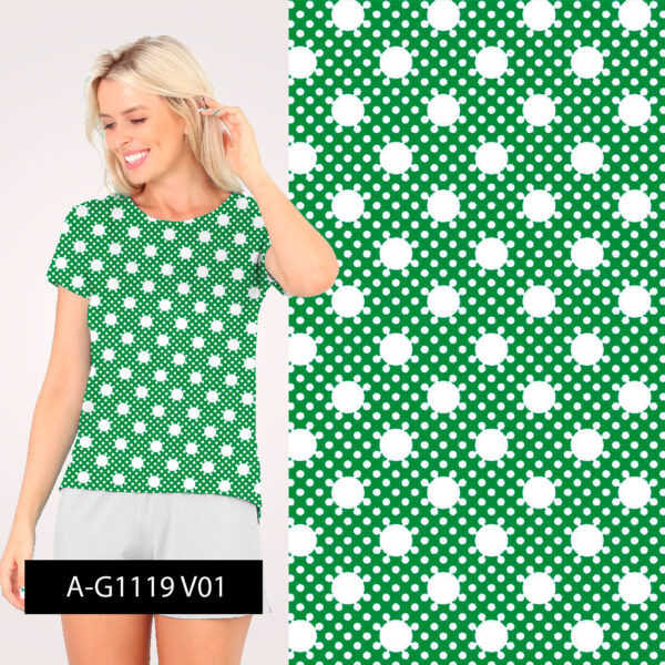 A-G1119-V01